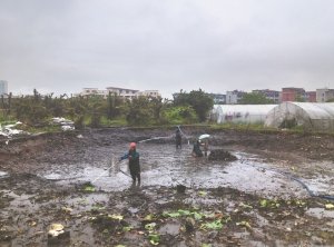 中山河道鱼塘清淤